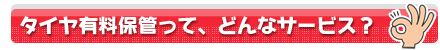 L^CۊǂĂǂȃT[rXH